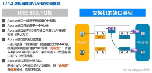 计算机网络 数据链路层 虚拟局域网 vlan